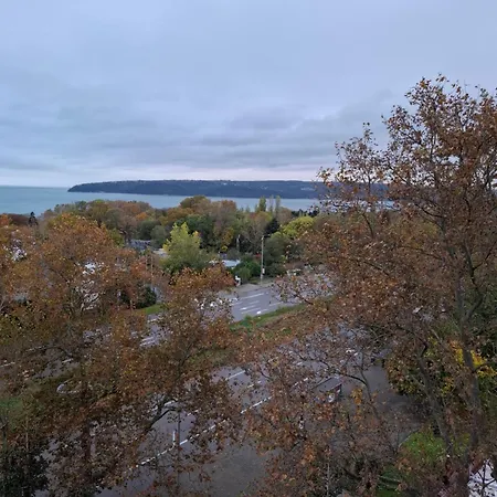 Petar Gembeshev * Warna