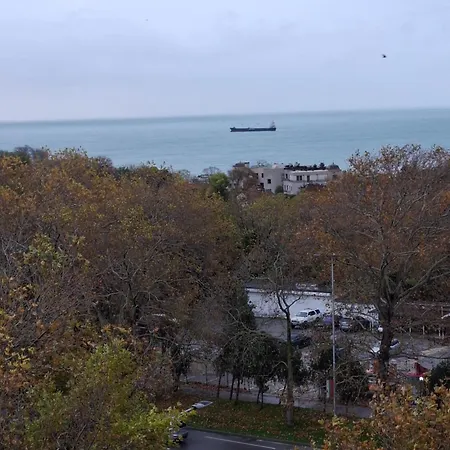 Petar Gembeshev * Warna